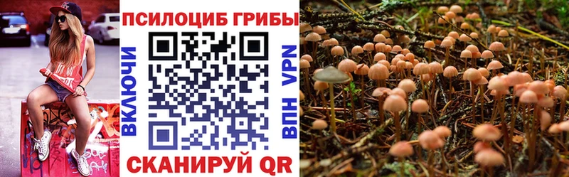 Галлюциногенные грибы Psilocybe  Крым 