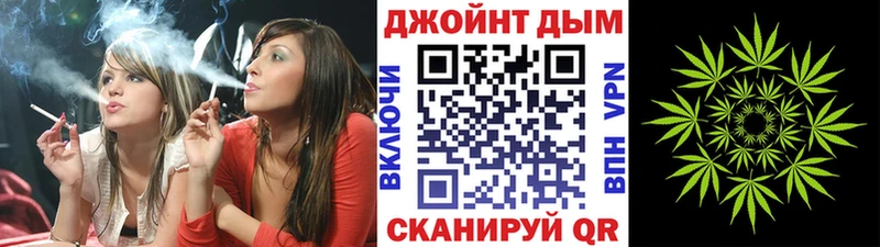 Конопля OG Kush  Крым 